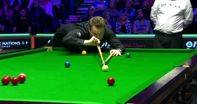 皮都了如指 皮都了如指